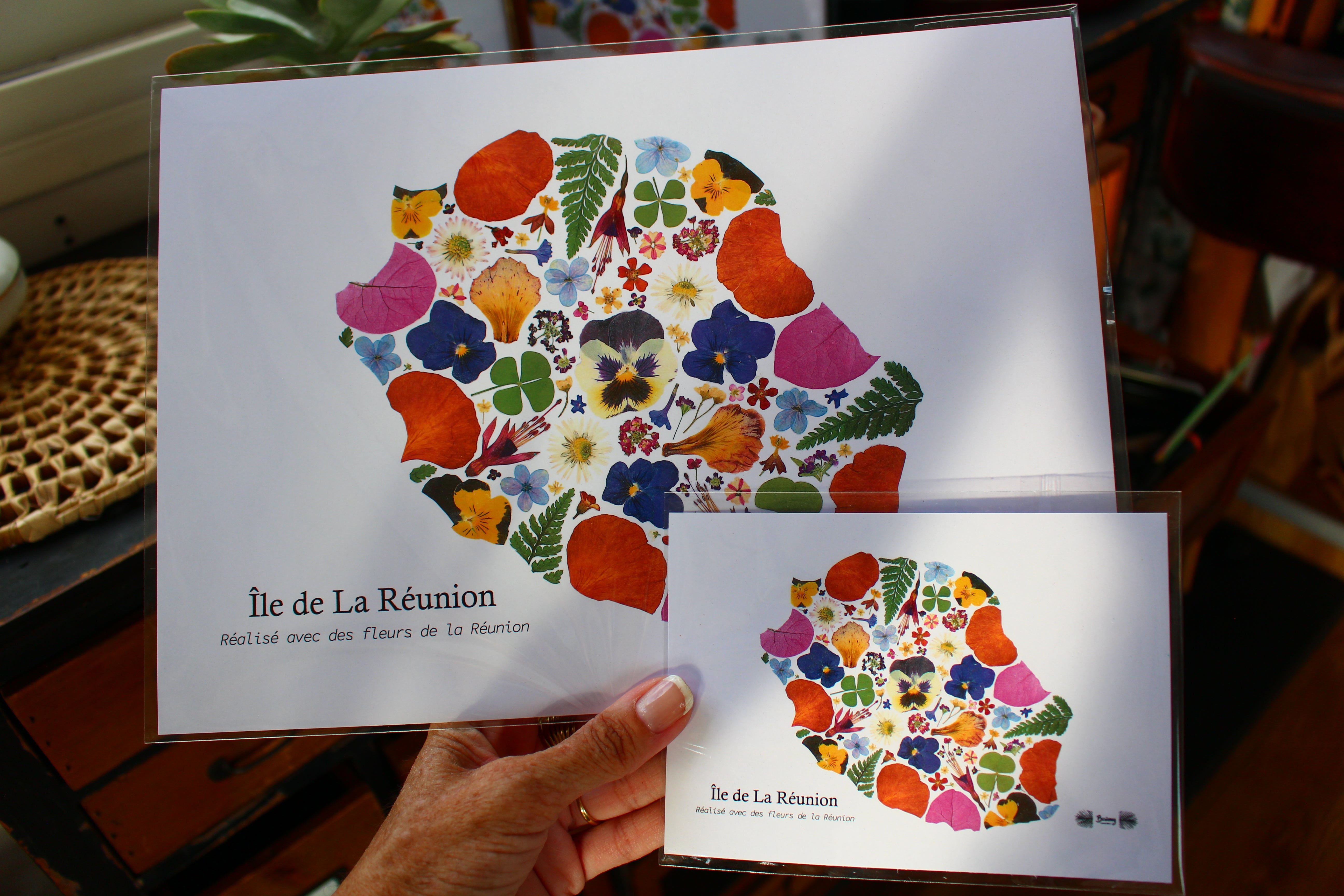 Herbiers / affiches / cartes postales